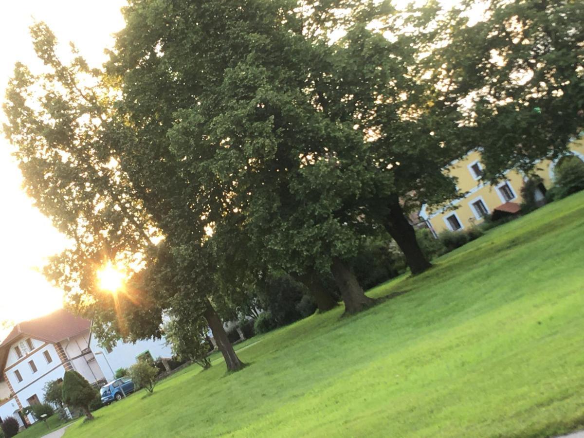 Apartman Na Vrsku Klenovice  Exteriör bild
