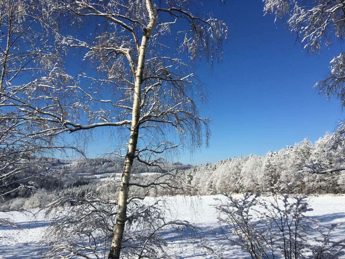 Apartman Na Vrsku Klenovice  Exteriör bild