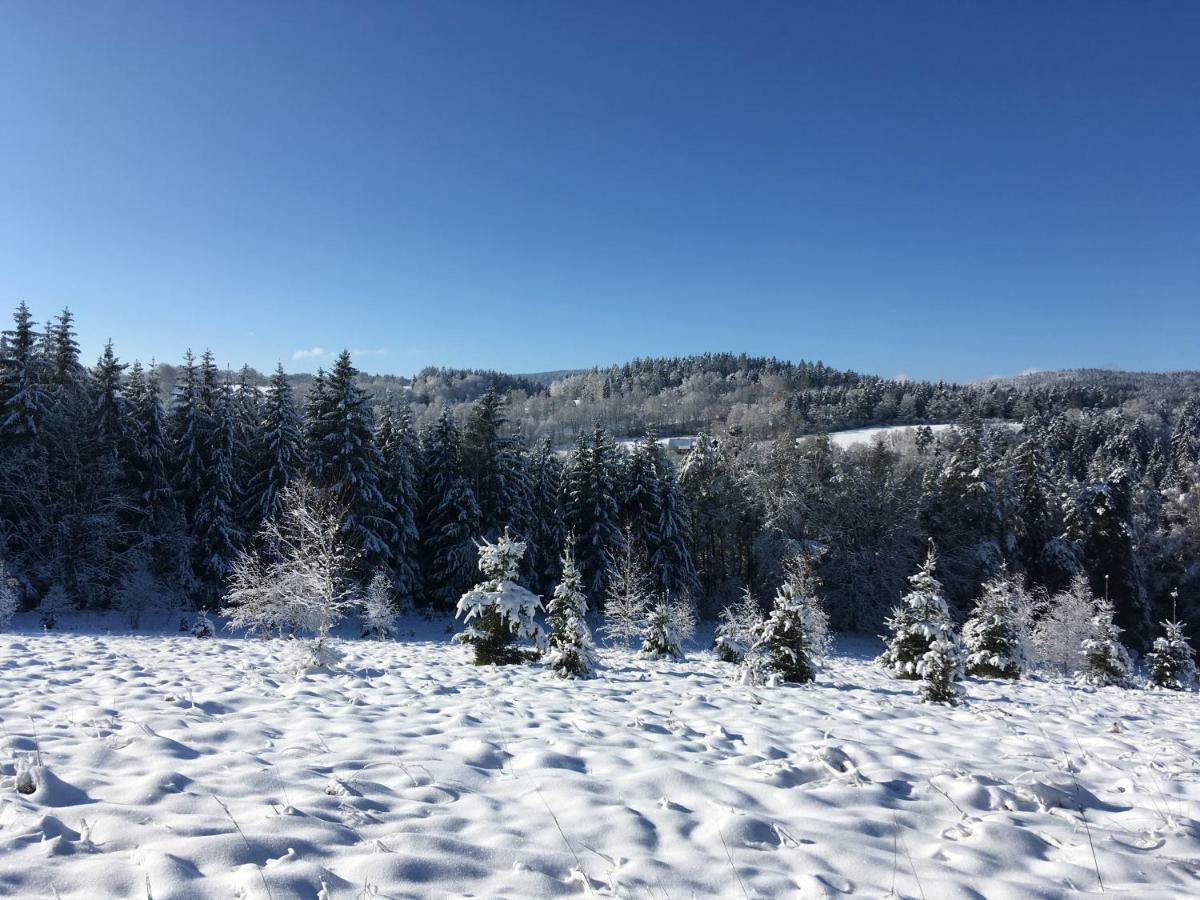 Apartman Na Vrsku Klenovice  Exteriör bild